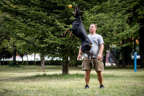 Branka Le Nostre Ali