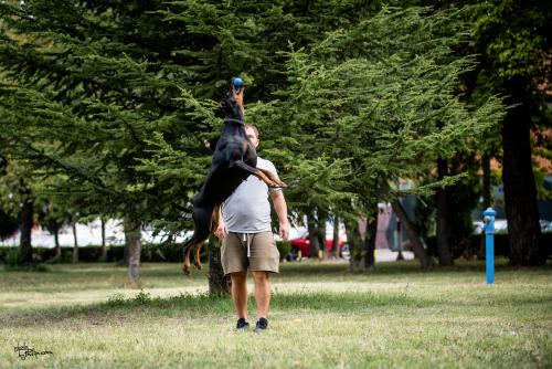 Branka Le Nostre Ali