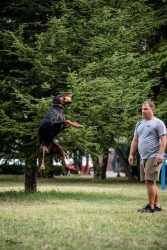 Branka Le Nostre Ali