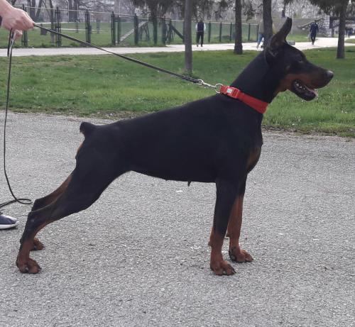 Iva Ivy Of Look At Me Baby