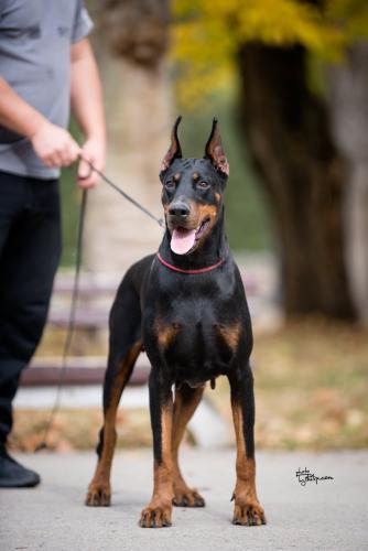 Iva Ivy Of Look At Me Baby