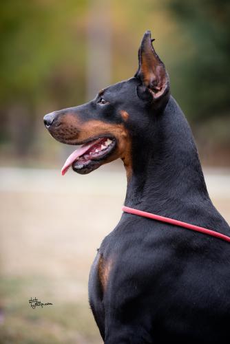 Iva Ivy Of Look At Me Baby