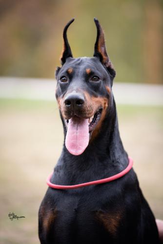 Iva Ivy Of Look At Me Baby