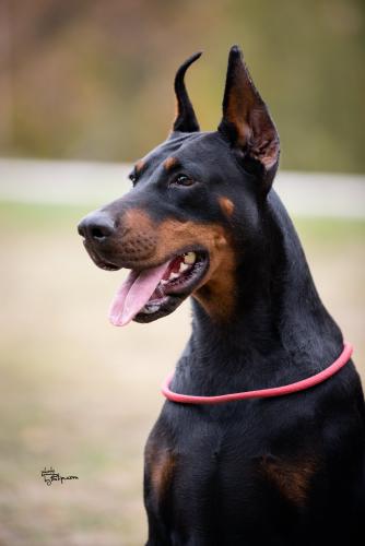 Iva Ivy Of Look At Me Baby