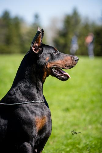 Iva Ivy Of Look At Me Baby