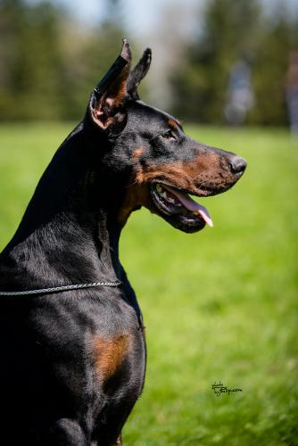 Iva Ivy Of Look At Me Baby