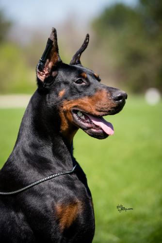 Iva Ivy Of Look At Me Baby